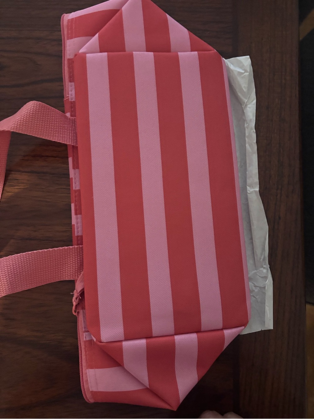 Trader Joe's Pink Striped Insulated Mini Travel Bag - Picture 4 of 4